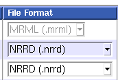 Select NRRD as output file format